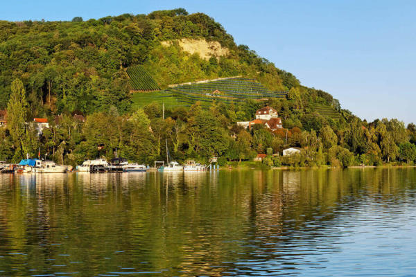 Historische Trotte